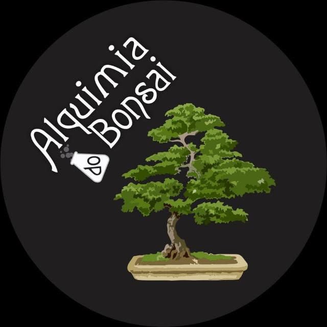 Alquimia do Bonsai