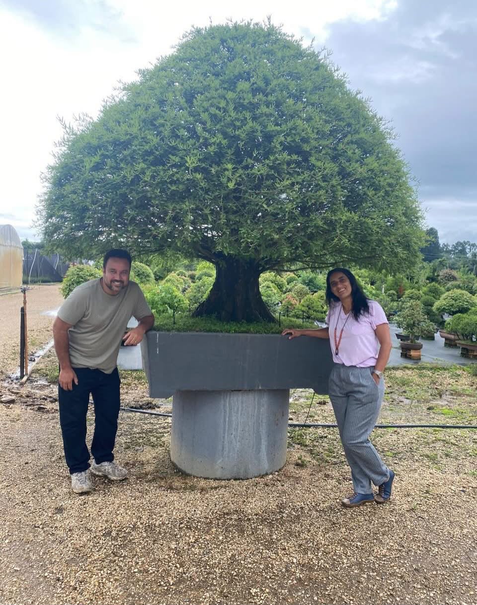Alexandre e Luane com um grande bonsai